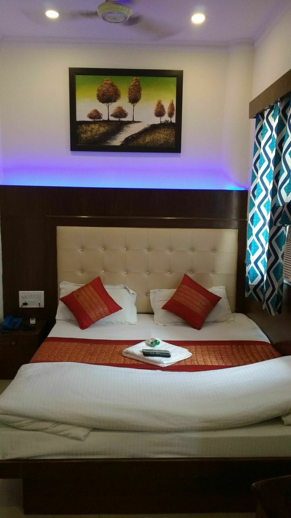 Hotel Vishal Νέο Δελχί Εξωτερικό φωτογραφία